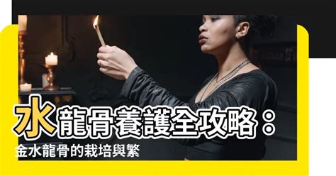 龍骨是哪裡|龍骨